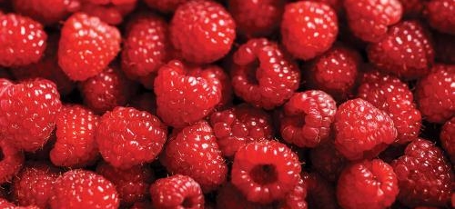 Coulis de framboises