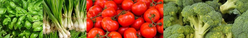 Salade d&rsquo;été au&nbsp;brocoli